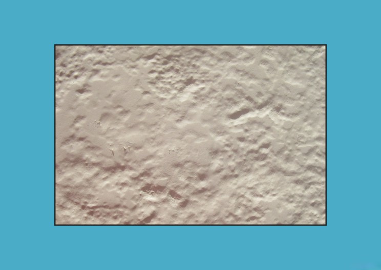 450300.jpg